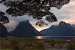 Milford Sound, South Westland, South Island, New Zealand