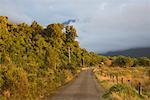 Te Taho, Westland, South Island, Nouvelle-Zélande