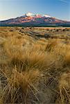 Mount Ruapehu und Ngauruhoe, Tongariro-Nationalpark, Nordinsel, Neuseeland