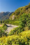 Vallée de Haast, Westland, South Island, Nouvelle-Zélande