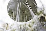 Detailed view of shower head outdoors