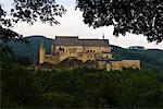 Castle Through Trees, Vianden, Luxembourg