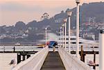 Fotograf Aufnahmen auf Orakei Wharf, Okahu Bay, Auckland, Neuseeland