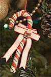 Close-up of a candy cane hanging on a Christmas tree