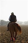 Vue arrière d'un homme sur un cheval