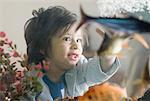 Boy looking at ein aquarium