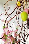 Painted Easter eggs hanging on a branch, close-up, selective focus