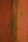 Red painting rusty plate