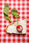 Radish on a bread with cream cheese