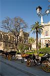 Horse-Drawn Carriages in Front of Cathedral, Seville, Spain