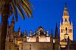 Giralda-Turm, Kathedrale von Sevilla in der Abenddämmerung, Sevilla, Spanien