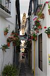 Calleja de las Flores, Cordoba, Espagne