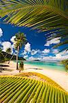 Palmblättern am Faofao Strand, Upolu, Samoa