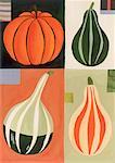 Four different pumpkins