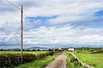 Country Road and Fields, Dumfries and Galloway, Scotland, United Kingdom