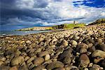 Rocky Beach et Château de Dunstanburgh, Northumbria, Northumberland, Angleterre, UK