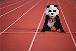 Panda Crouching on a Track