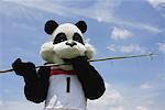 Panda Essen ein Bambus-schießen