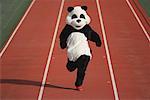 Panda sprint sur une piste