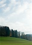 Switzerland, landscape with trees and sky