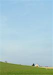 Farmhouse and green pastures, cows grazing in distance