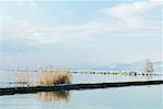 Breakwater on body of water