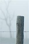 Frost covered barbed wire and wooden post