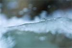 Surface of water, extreme close-up