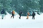 Cross-country skiers, single file, rear view