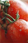 Vine tomatoes, extreme close-up