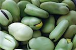 Broad beans, close-up