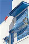 Tunisia, Sidi Bou Said, traditional window covered whith wire mesh