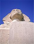Egypte, Caire, Gizeh, Sphinx