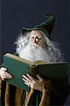 Wizard Reading a Book