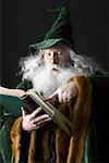 Wizard Reading a Book