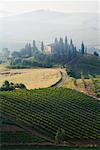 Ferme, Toscane, Italie