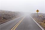 Fog-Covered Road