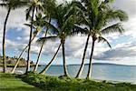 Plage à Wailea, Maui, Hawaii, USA