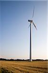Wind Turbine in Field
