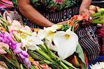 Woman Selling Flowers at Market, Chichicastenango, Guatemala