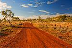 Chemin de terre, l'Outback australien, Queensland, Australie
