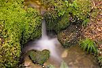 Creek, Lewis Pass, Südinsel, Neuseeland