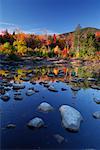 Roches dans le bassin des nymphéas, forêt nationale des montagnes blanches, New Hampshire, Etats-Unis