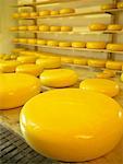 Gouda Cheese at Dairy Farm, Alphen Aan Den Rijn, Netherlands