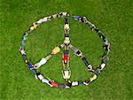 Group lying on grass in a peace sign formation