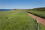 Path Leading to Wind Energy Test Site, North Cape, Prince Edward Island, Canada