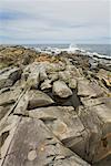 Crique rocheuse à Western Head, Liverpool, Nouvelle-Écosse, Canada