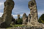 Ruinen im Park von Kloster, Bury St Edmunds, Suffolk, England