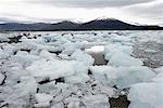 Ice Chunks on Shore, Chile, Patagonia