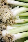 Spring onions